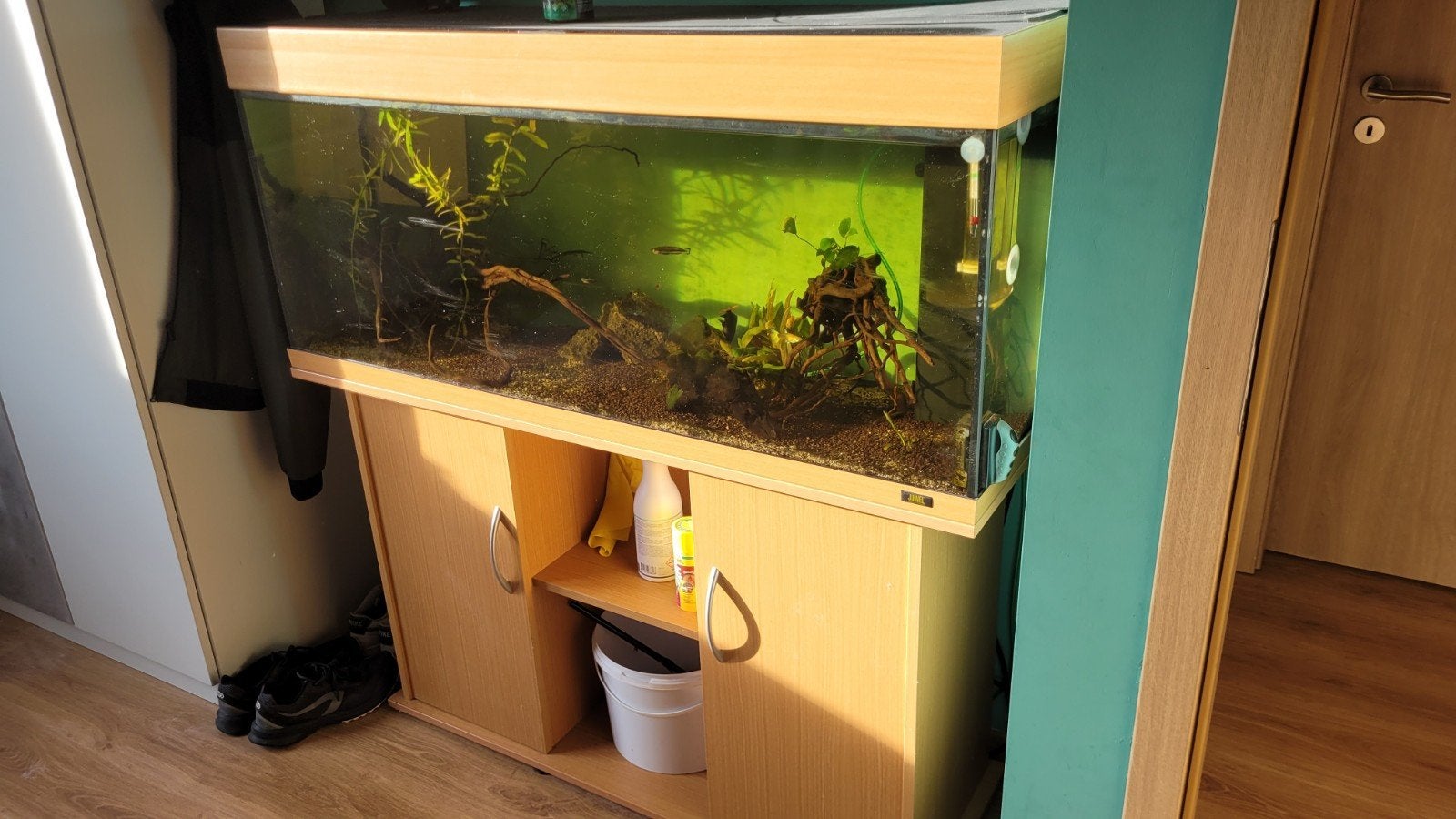 Aquarium Juwel 240L, Animaux & Accessoires, Poissons | Aquariums & Accessoires, Utilisé, Aquarium vide, Pompe, Juwel, Enlèvement