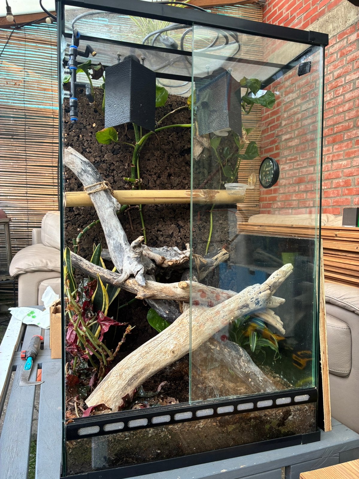 Terrarium, Ophalen, Gebruikt, Terrarium of Paludarium
