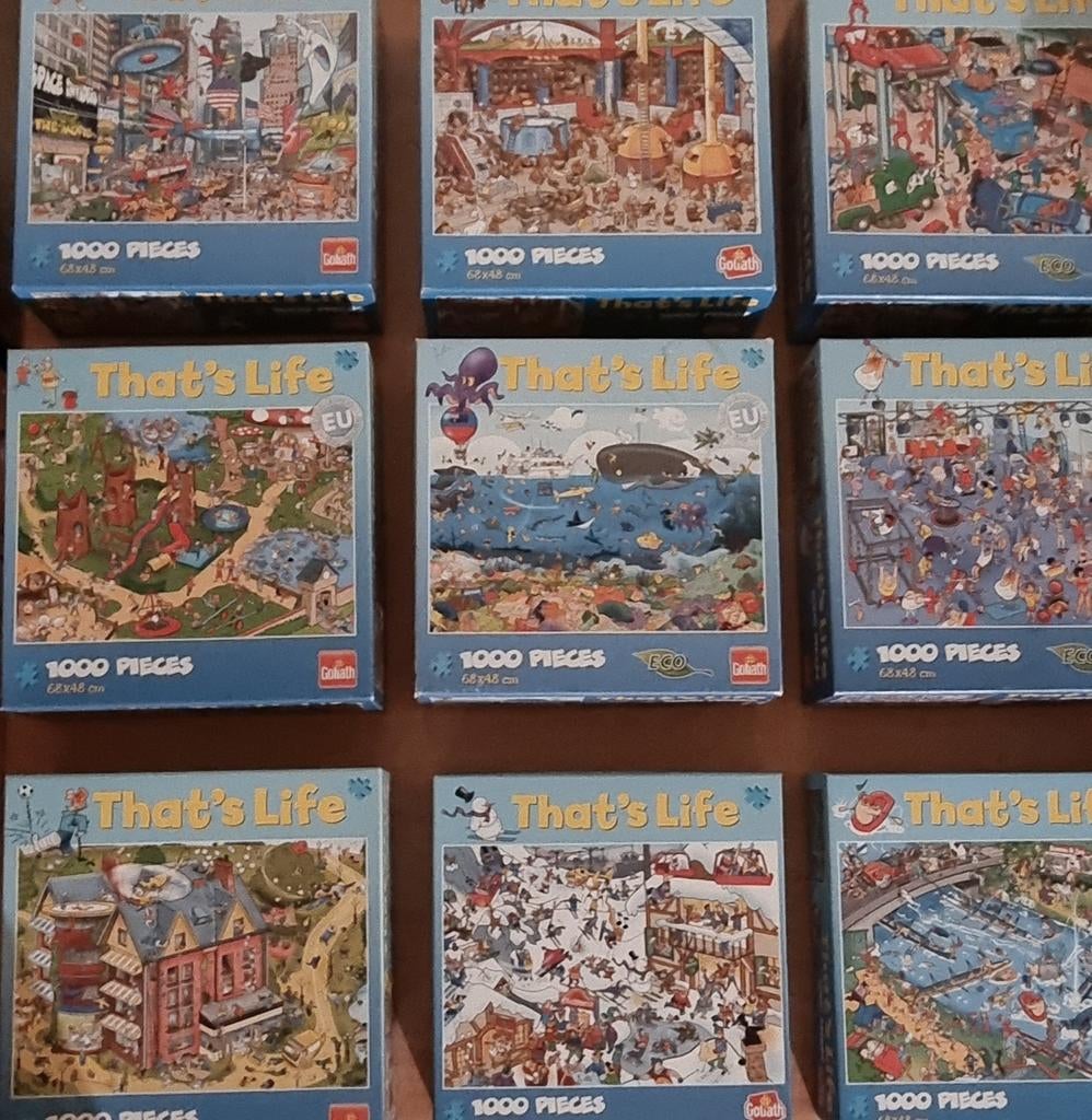 Puzzles That's Life, Envoi