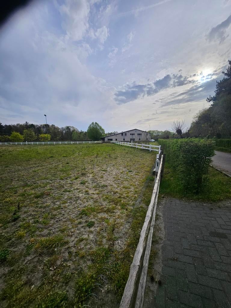 Pvc omheining 100de meters bieden vanaf 1 € lm zelf afbreken, Weidegang, 4 paarden of pony's of meer