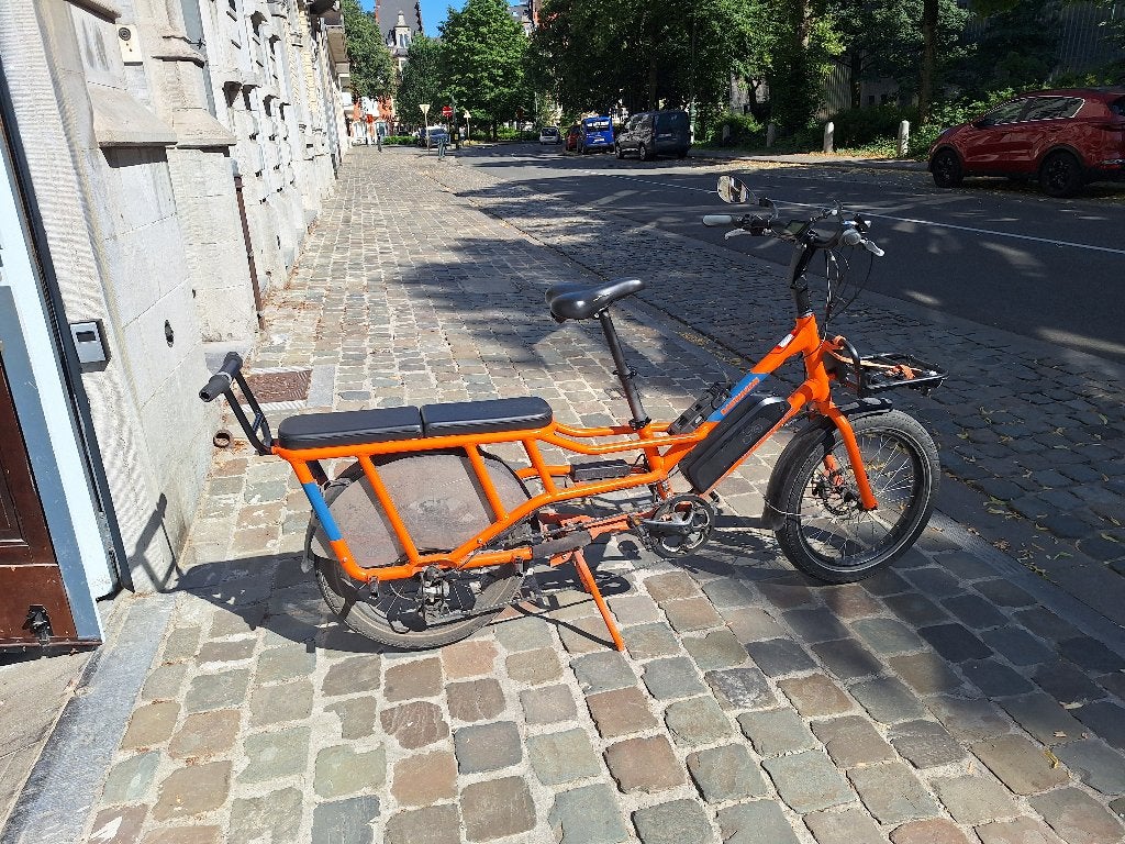 RadWagon 4 - Velo électrique, Autres marques, 47 à 51 cm, Enlèvement, Utilisé
