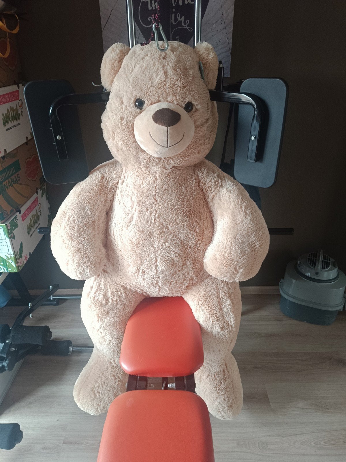 Teddy beer xxl merk pluchiez splinternieuw, Ophalen, Nieuw