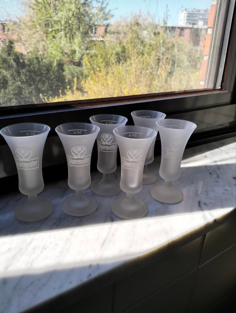 6 Jägermeister glaasjes , NIEUW, Verzamelen, Glas en Drinkglazen, Ophalen