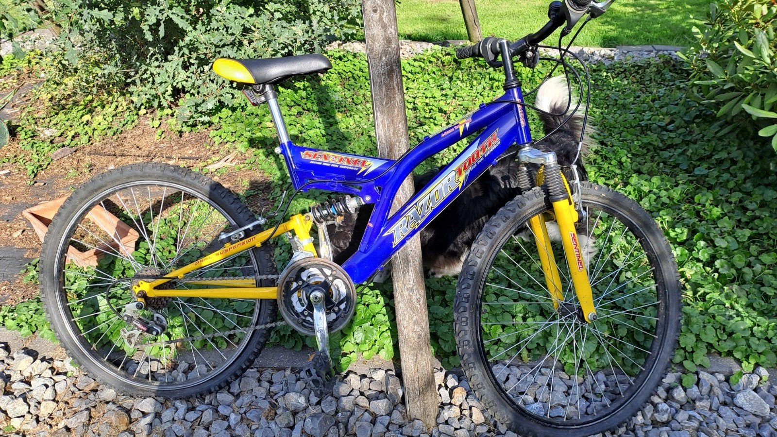 VTT Razorback sentinel bleu jaune pour adolescent, Vélos & Vélomoteurs, Vélos | VTT & Mountainbikes, VTT tout suspendu, Enlèvement