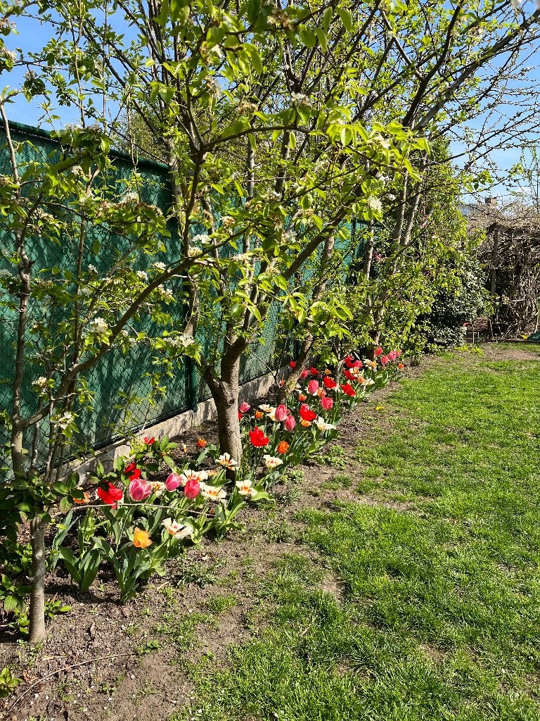 Tennisdraad met schaduwdoek, Ophalen, Gebruikt, 10 tot 20 meter, Draad