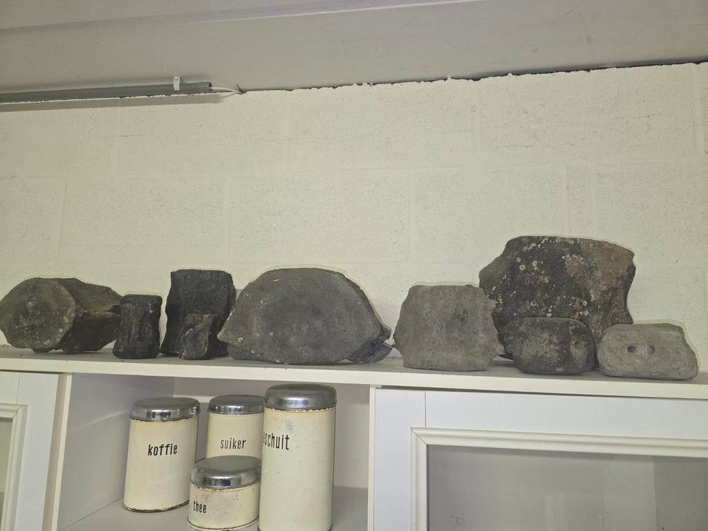 Lot de plusieurs vertèbres de baleine fossilisées, Enlèvement