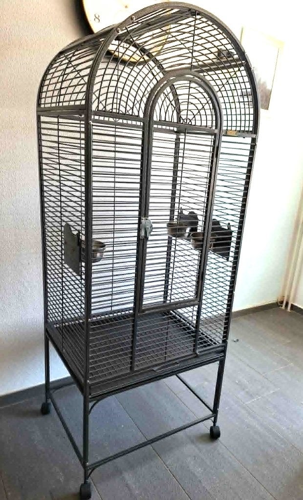 Keddoc Papegaaienkooi, Dieren en Toebehoren, Ophalen, Zo goed als nieuw, Metaal, Vogelkooi
