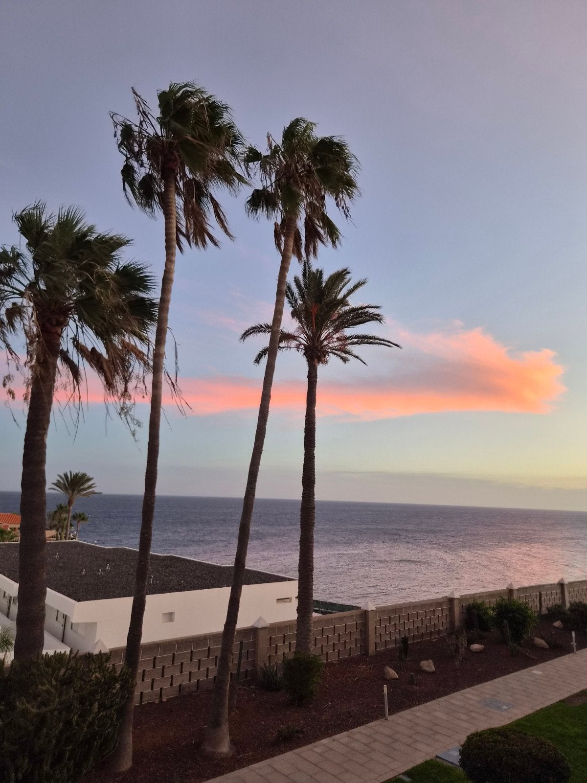 Te huur studio, Costa del Silencio, Zuid-Tenerife, Appartement