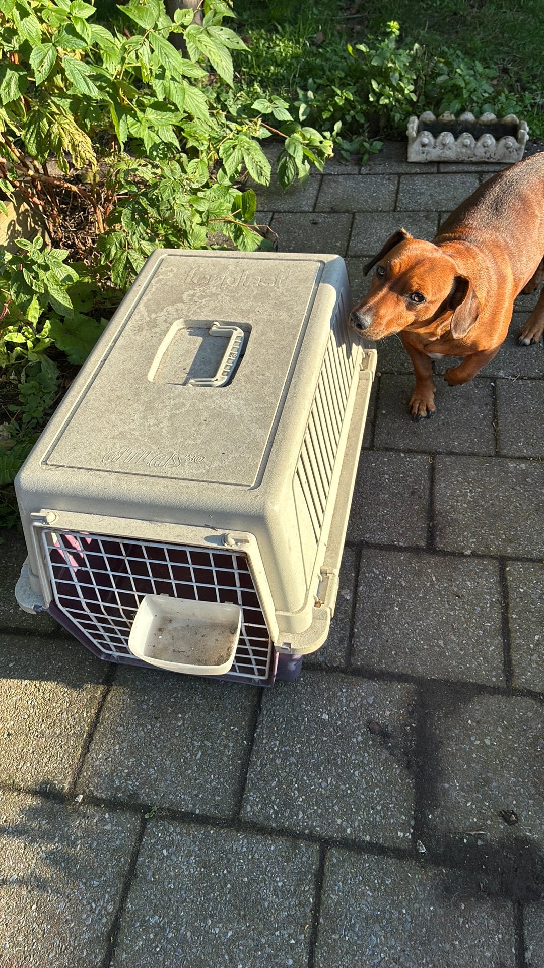 Transport box, Dieren en Toebehoren, Ophalen, Zo goed als nieuw