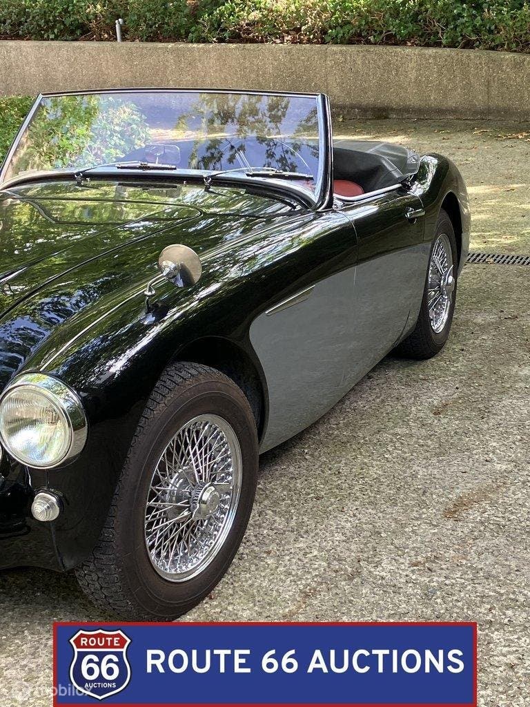 Austin-Healey 3000 Mark II BT7 | 1962 | Route 66 Auctions, foto 4