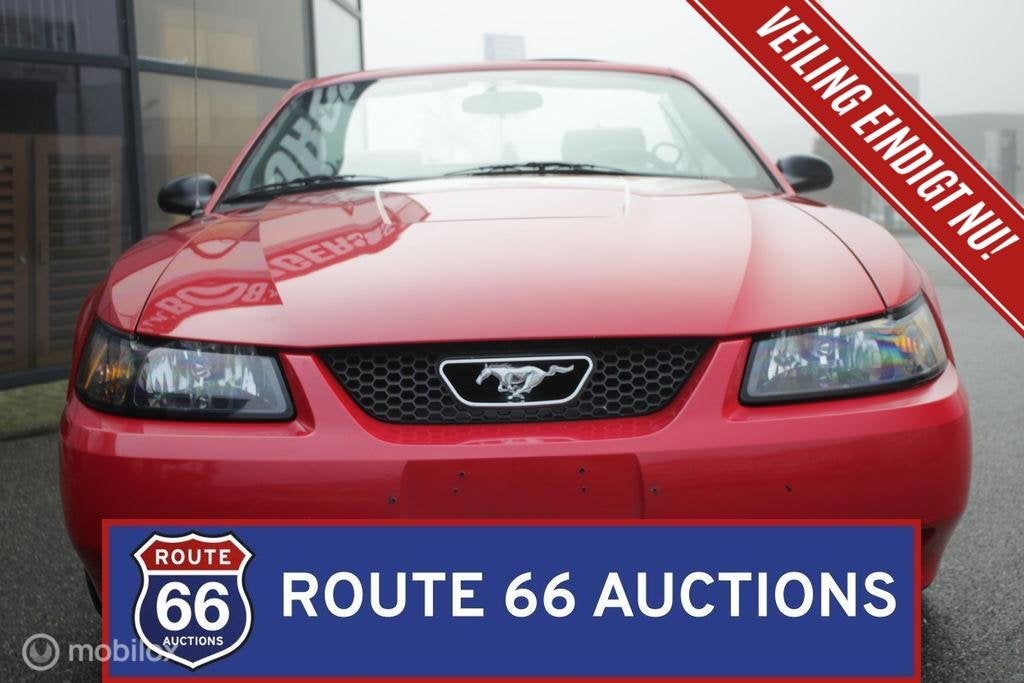 Ford Mustang V6 Cabriolet | 2005 | Route 66 Auctions, Achat, Entreprise, Boîte manuelle, Autre carrosserie