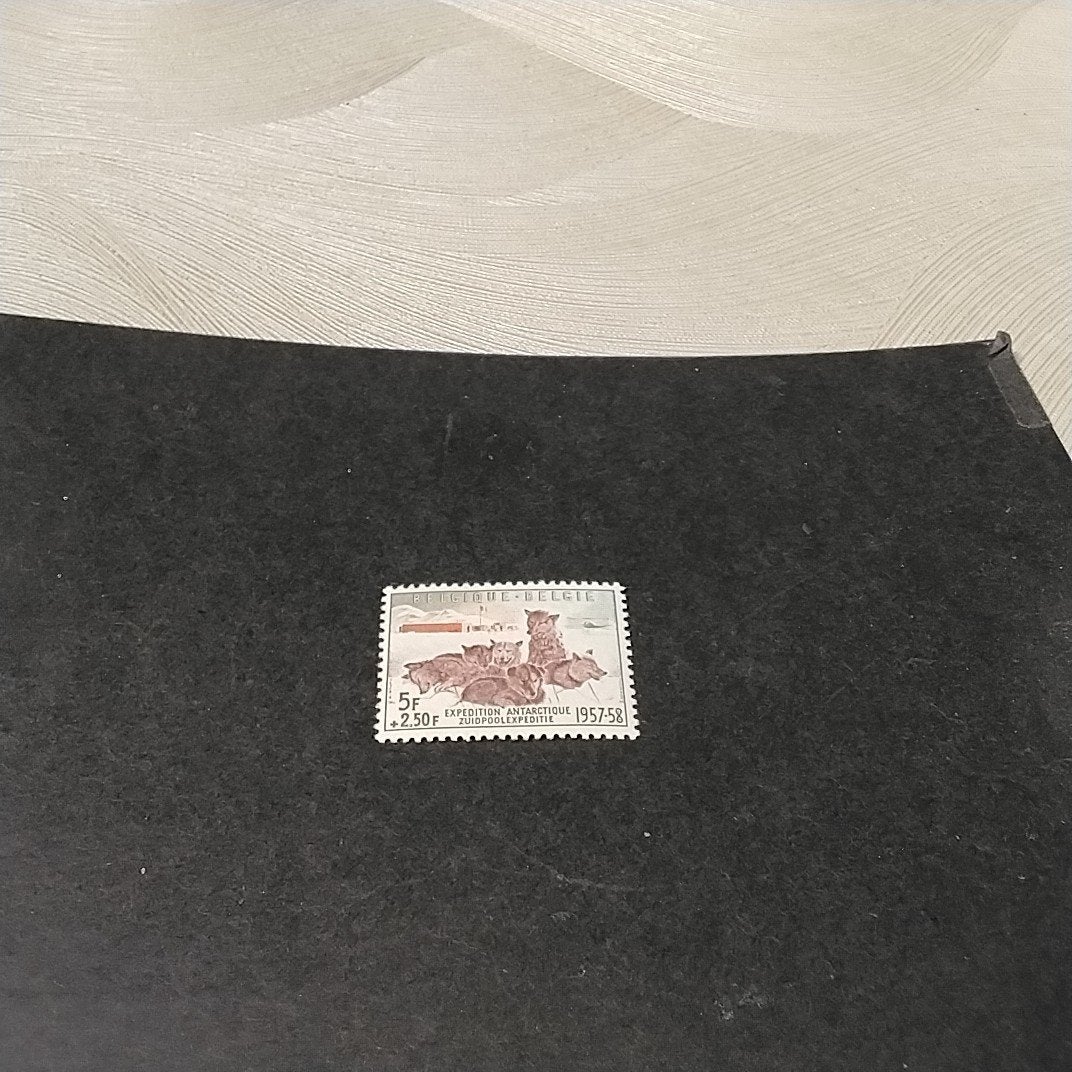 Charnière BELGIE 1030 avec encoche 3,50€., Enlèvement ou Envoi