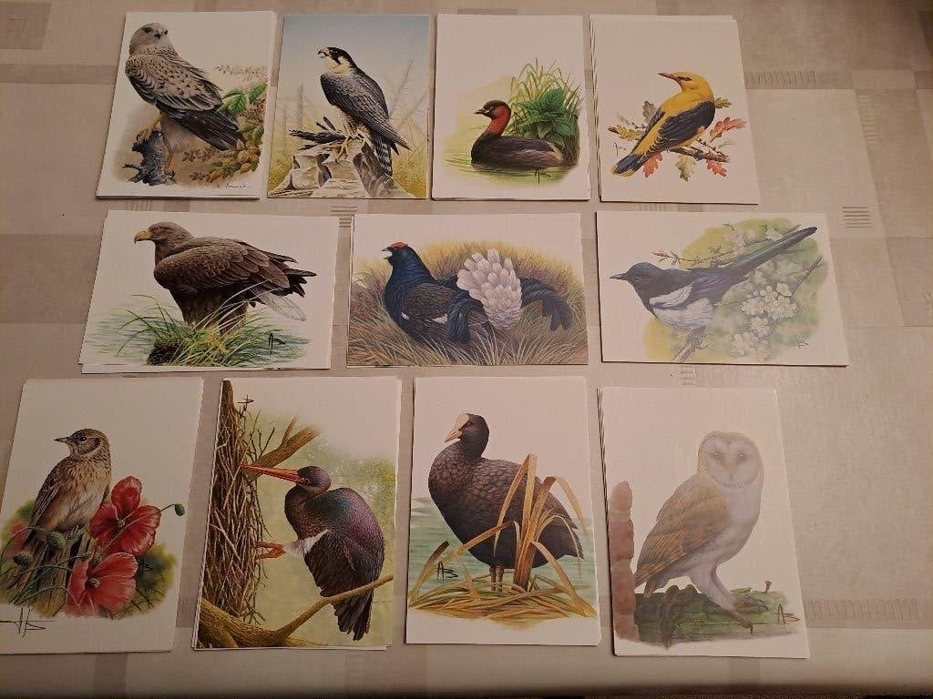 postkaarten BUZIN, Ophalen