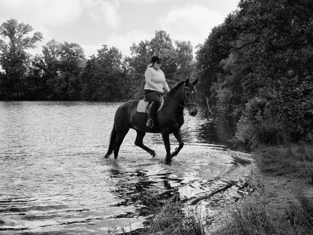 Super brave merrie ook geschik voor overgang pony, 11 ans ou plus, Avec pedigree, L, 160 à 165 cm