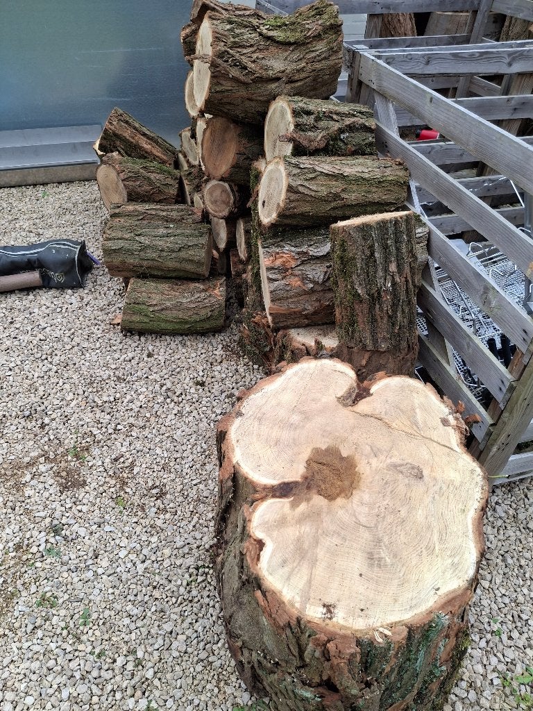 Bois de chauffage humide, dur, 3 à 6 m³, Enlèvement ou Envoi, Autres essences de bois, Bûches