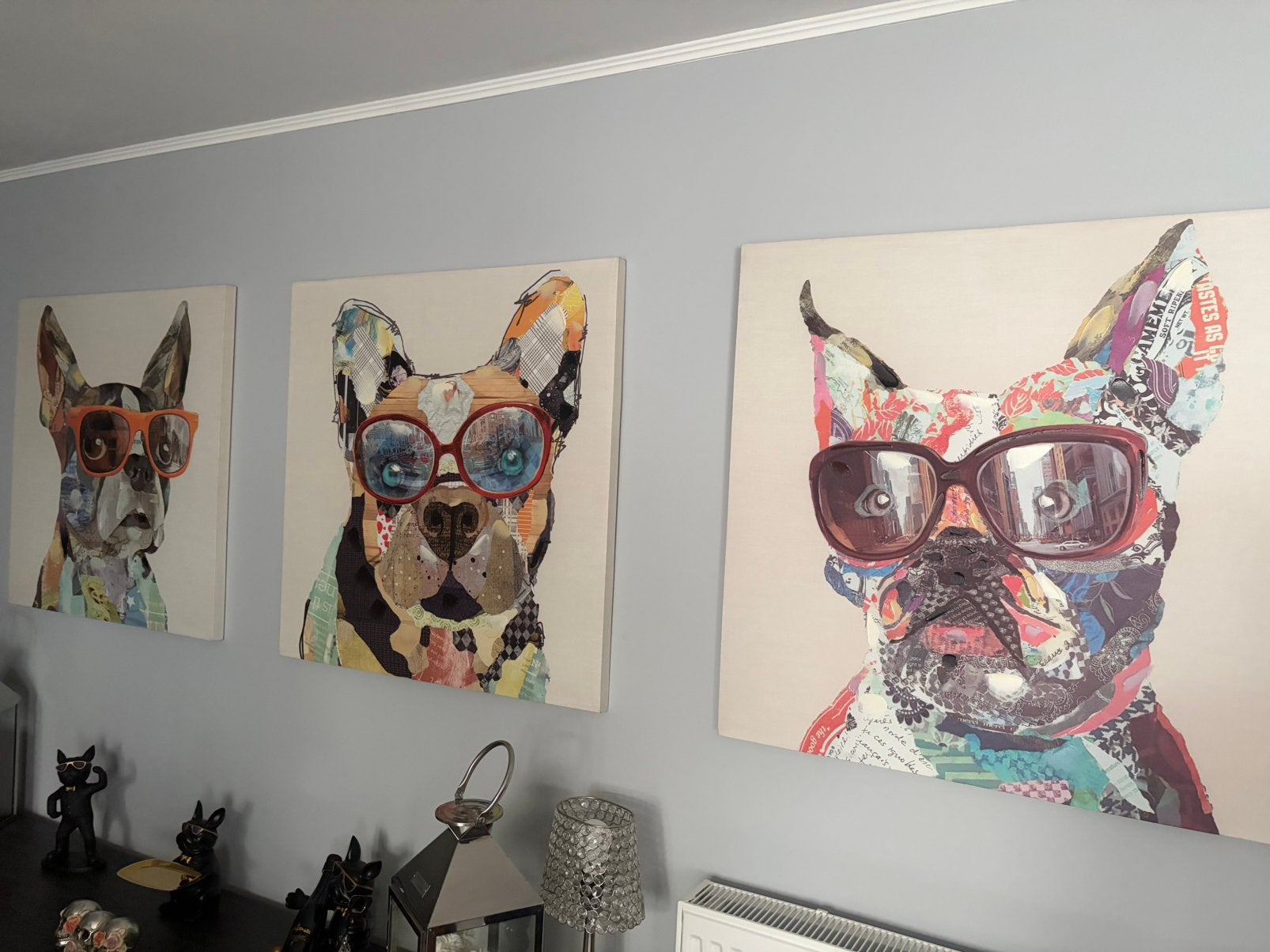 Groot frame voor Franse bulldog, Ophalen