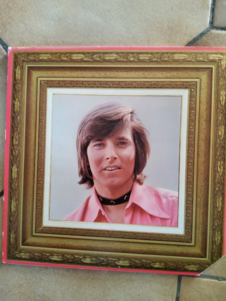 LP 33 TOURS PORTRAIT BOBBY SHERMAN, Ophalen of Verzenden, LP