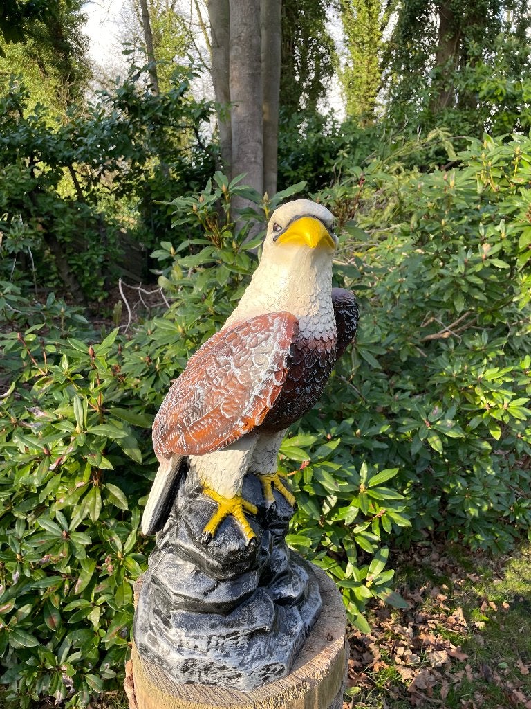 Aigle, ferme, pelouse, jardin, ferme, 65 cm, Jardin & Terrasse, Statues de jardin, Neuf, Animal, Synthétique, Enlèvement