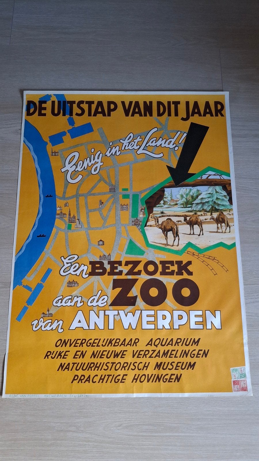 Vintage affiche Zoo Antwerpen 1948, Verzamelen, Ophalen of Verzenden