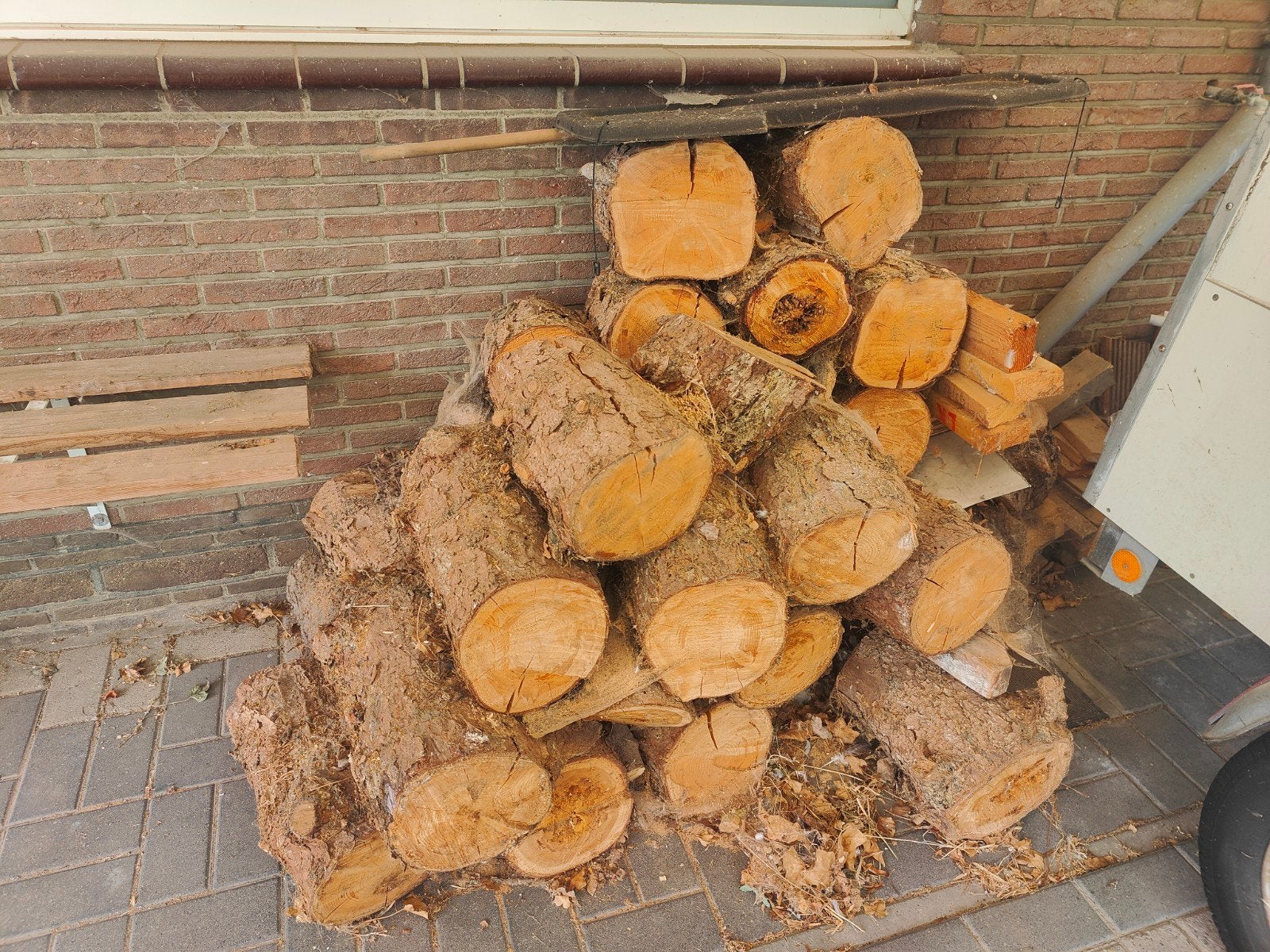 Stookhout den, Tuin en Terras, Brandhout, Ophalen, Overige houtsoorten, Stammen