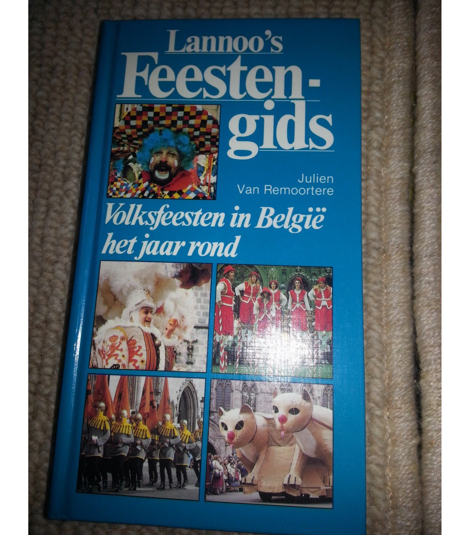 Feestengids van Julien van Remoorter, Boeken, Ophalen, Zo goed als nieuw, Overige typen
