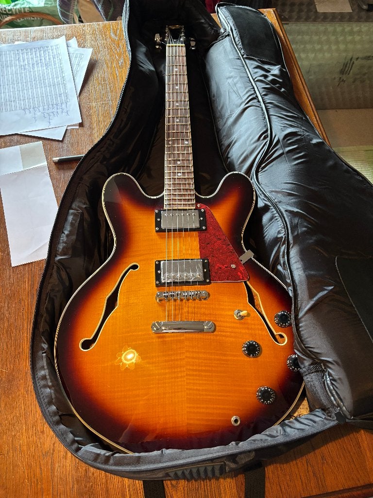 Stagg semi-hollow elektrische gitaar, Ophalen, Gebruikt, Hollow body, Overige merken