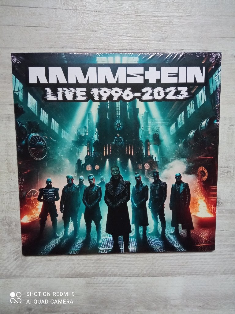 SIN89/Rammstein/Depeche Mode, Cd's en Dvd's, Verzenden, Zo goed als nieuw, 12 inch, LP