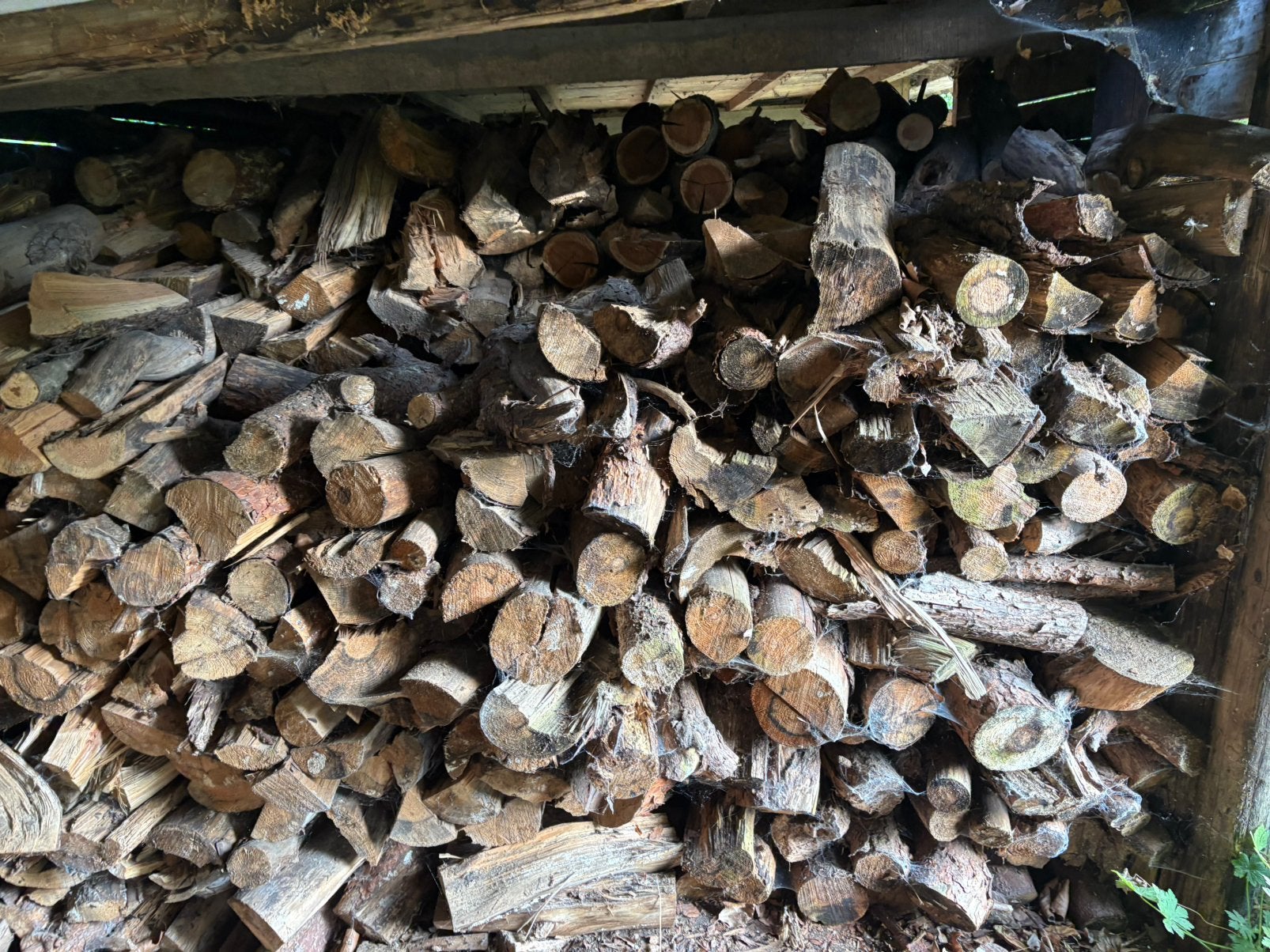 Grote partij brandhout 14 m³ – Droog haardhout, Ophalen, Blokken