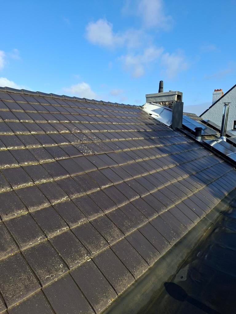 Dakpannen Nielskamp Nibra 70m2, Doe-het-zelf en Bouw, Dakpannen en Dakbedekking, Ophalen, Zwart, Dakpannen