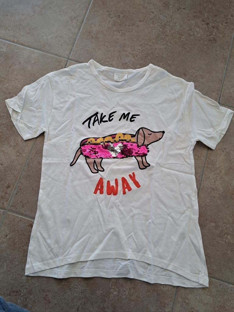 Leuke t-shirt met teckel (Zara), maat 11 jaar, Kinderen en Baby's, Kinderkleding | Maat 146, Ophalen of Verzenden