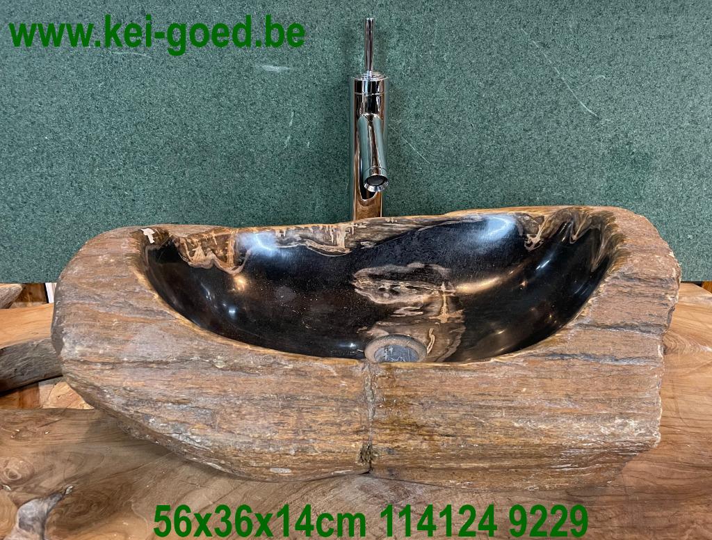 Versteend hout daarvan een wasbak of lavabo of decoratieblad, Verzamelen, Ophalen, Fossiel