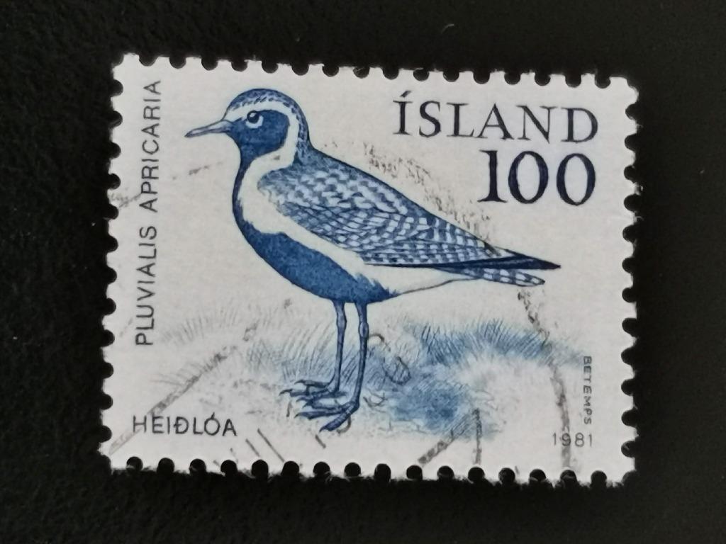 Ijsland 1981 - vogels - Goudplevier, Postzegels en Munten, Postzegels | Europa | Scandinavië, Ophalen of Verzenden, IJsland, Gestempeld