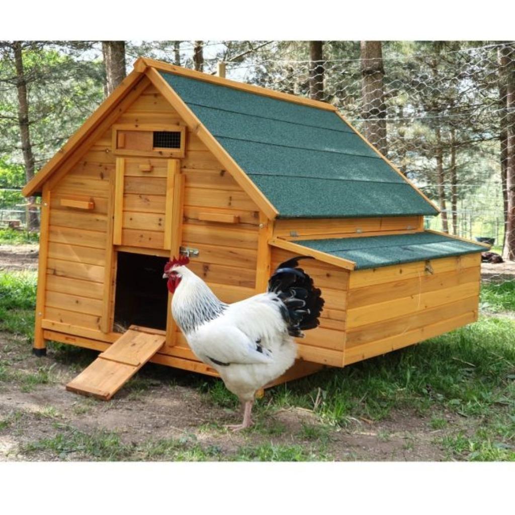 Poulailler GEANT poulailler XXL abri 18 poules coq volaille, Envoi, Neuf, Poulailler