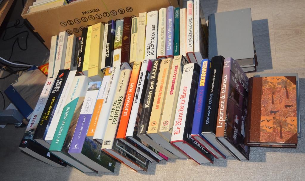 Franse Romans, Livres, Philosophie, Enlèvement, Utilisé, Général, Diverse auteurs