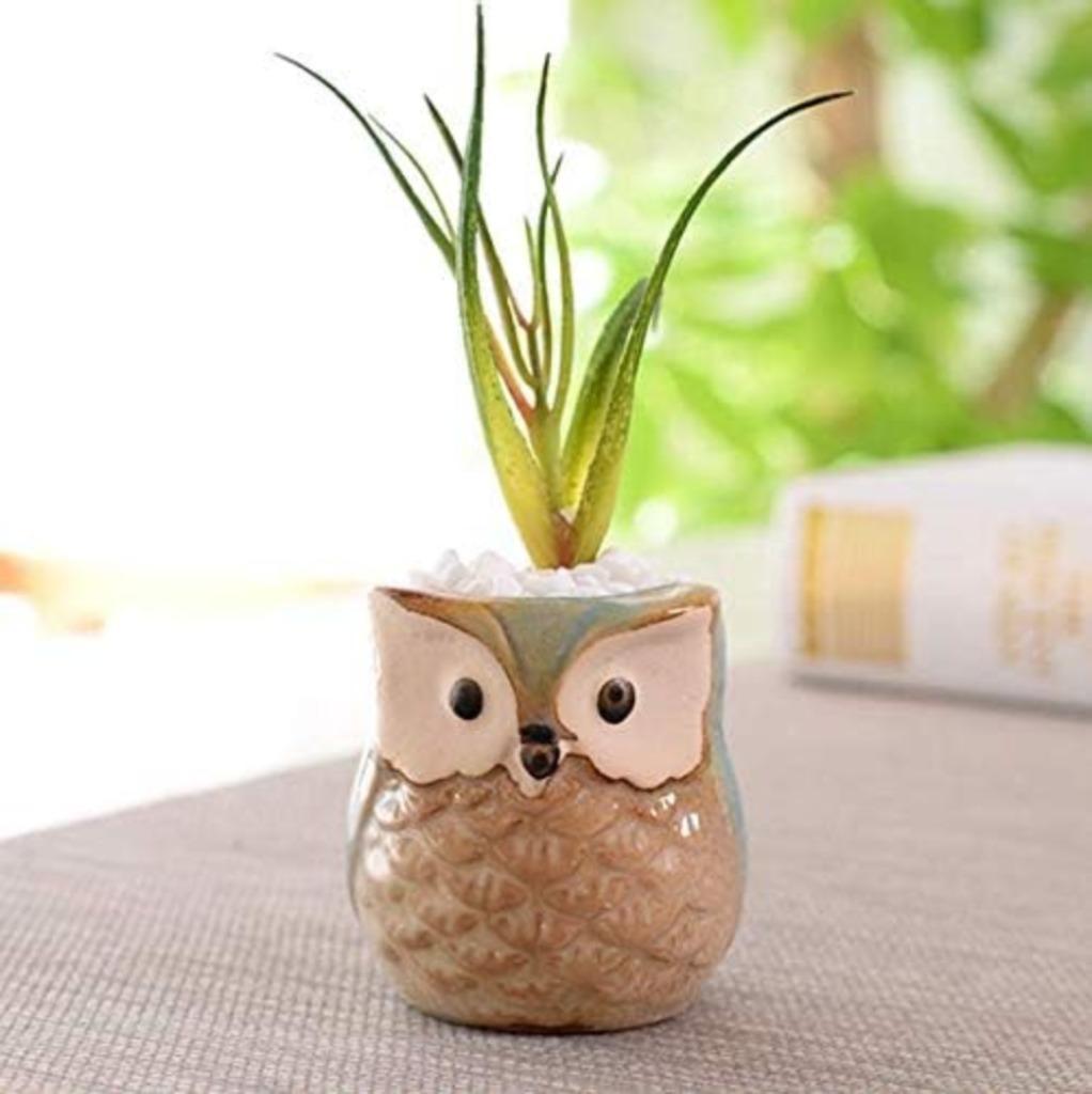 plantenpot bloempot keramische uil GRATIS LEVERING, Overige materialen, Verzenden, Nieuw, Balkon