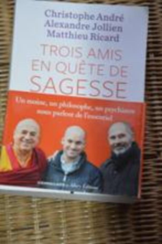 AV. LIVRE SAGESSE DE MATHIEU RICARD, CHRISTOPHE ANDRE, ALEXA, Livres, Enlèvement ou Envoi
