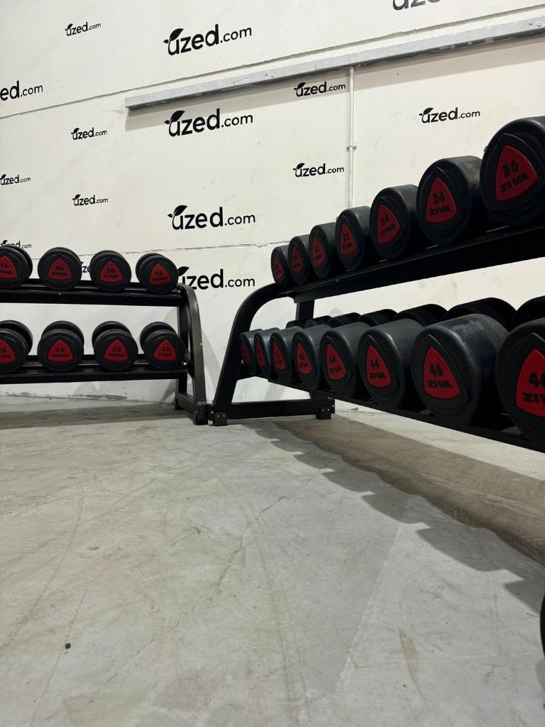 Lot d’haltères Ziva de 10 à 50 KG, Ophalen of Verzenden, Gebruikt, Benen, Dumbbell