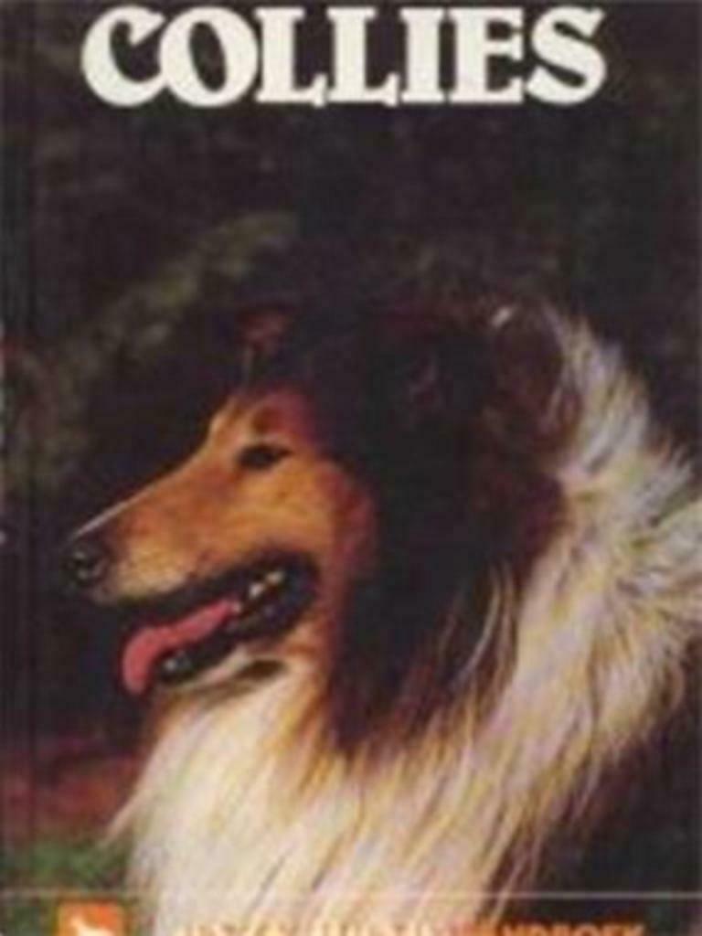 Collies, onze hond handboek, Ophalen of Verzenden, Gelezen, Honden