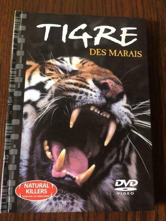 Livre DVD Tigre des marais, CD & DVD, DVD | Documentaires & Films pédagogiques, Enlèvement ou Envoi