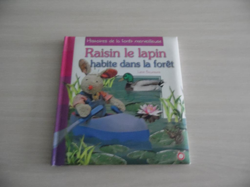 RAISIN LE LAPIN   HABITE DANS LA FORÊT, Boeken, Kinderboeken | Kleuters, Zo goed als nieuw, Fictie algemeen, 4 jaar, Jongen of Meisje