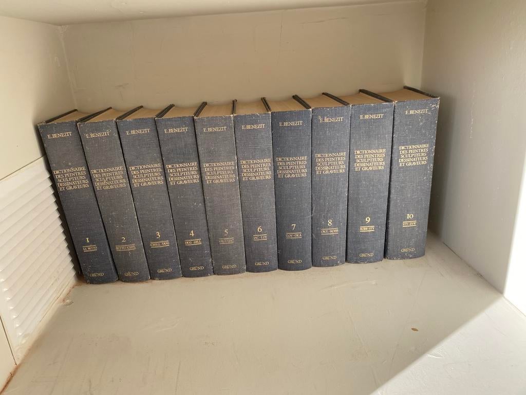 Benezit, Boeken, Ophalen of Verzenden, Gelezen