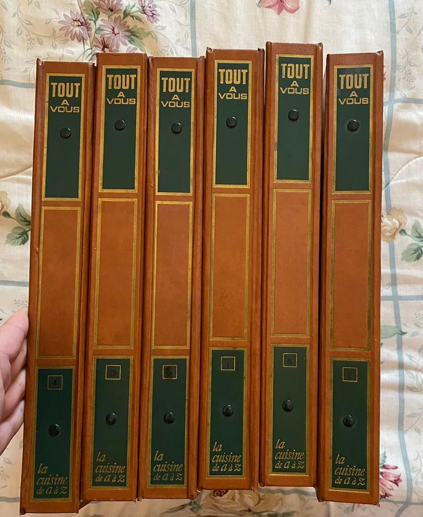 Lot de 6 livres de cuisine, Livres, Utilisé, France