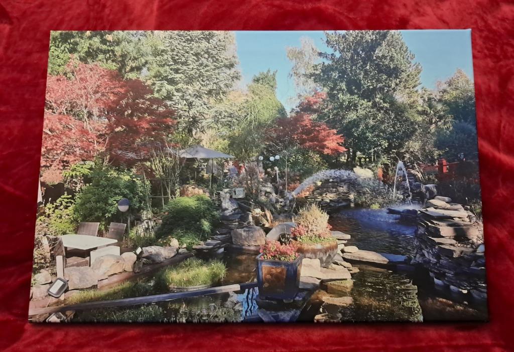 Photo sur toile premier tirage 60 x 40 cm jardin chinois, Enlèvement ou Envoi