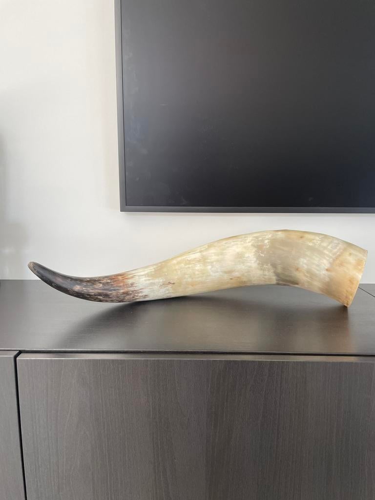 Watusirund rund hoorn, Huis en Inrichting, Woonaccessoires | Wanddecoraties, Zo goed als nieuw, Ophalen