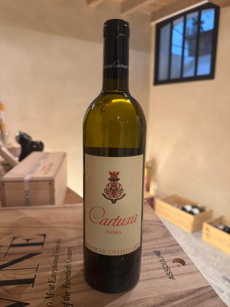 Cartuxa Colheita Branco 2021 – Évora, Alentejo, Verzamelen, Wijnen, Ophalen, Nieuw, Witte wijn