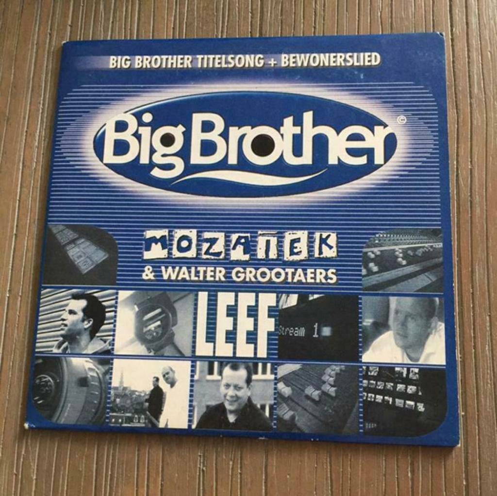 CD Single Big Brother - Mozaiek & Walter Grootaers - Leef, Cd's en Dvd's, Ophalen of Verzenden, Gebruikt, Nederlandstalig