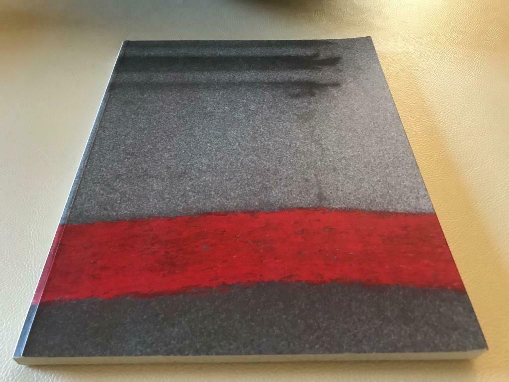 Guy Mees Monografie 120pag, Boeken, Kunst en Cultuur | Beeldend, Ophalen of Verzenden, Zo goed als nieuw, Schilder- en Tekenkunst