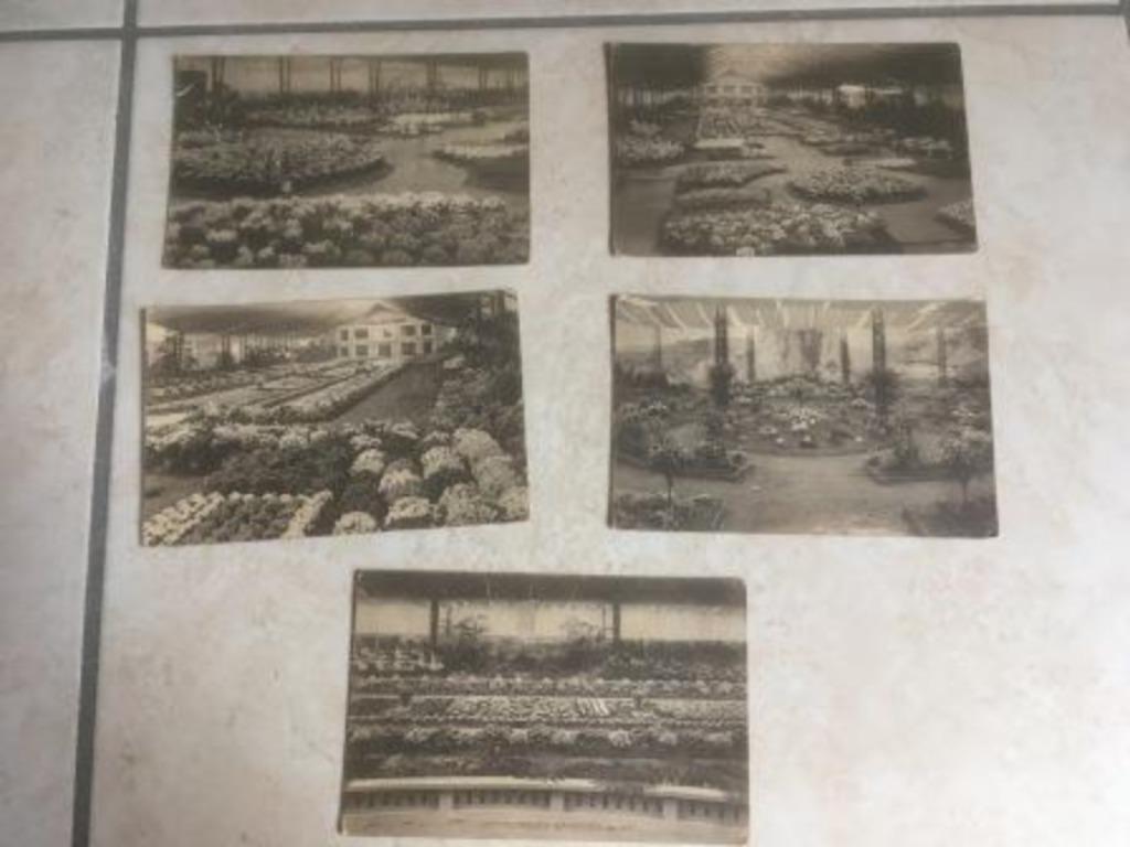 Oude briefkaarten Gentse Floraliën van 1923, Verzamelen, Ophalen of Verzenden
