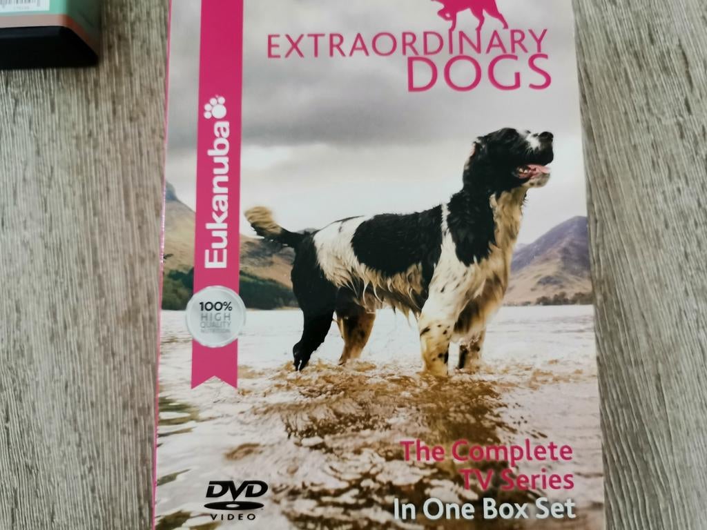 Des chiens extraordinaires, Enlèvement ou Envoi