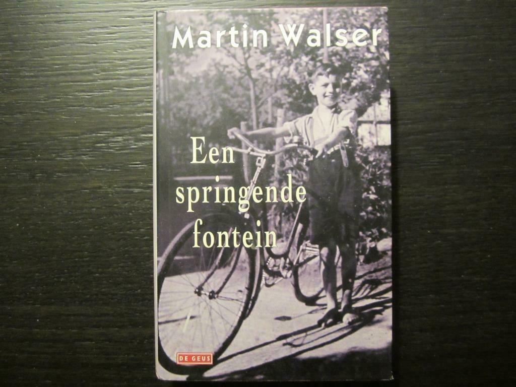 De springende fontein   -Martin Walser-, Boeken, Ophalen of Verzenden